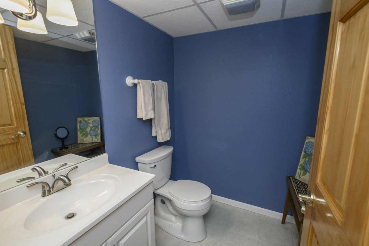675 Charleston Court, Unit B Brookfield, WI 53045 - Photo 39 of 55 Lower Half Bath