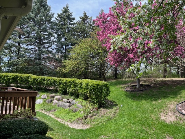 675 Charleston Court, Unit B Brookfield, WI 53045 - Photo 54 of 55 Spring Flowering Crabapples!