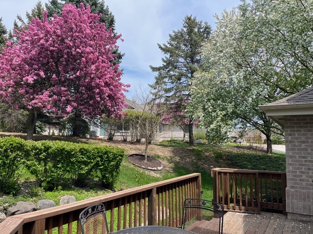 675 Charleston Court, Unit B Brookfield, WI 53045 - Photo 55 of 55 Spring Crabapple Vistas