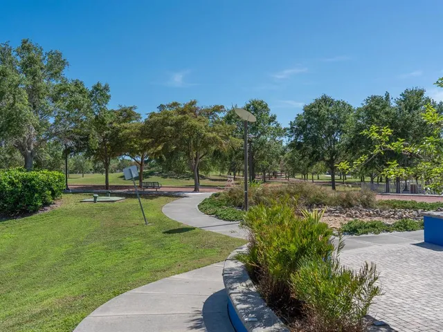 a view of a park with large trees