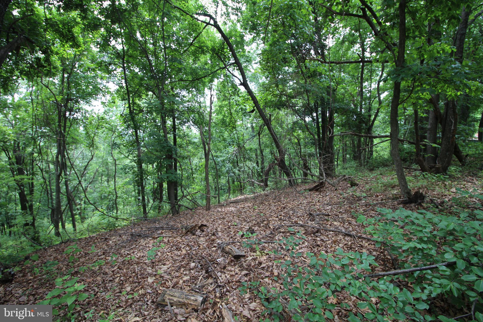 0 Supinlick Ridge Road Broadway, VA 22815 - Photo 3 of 4