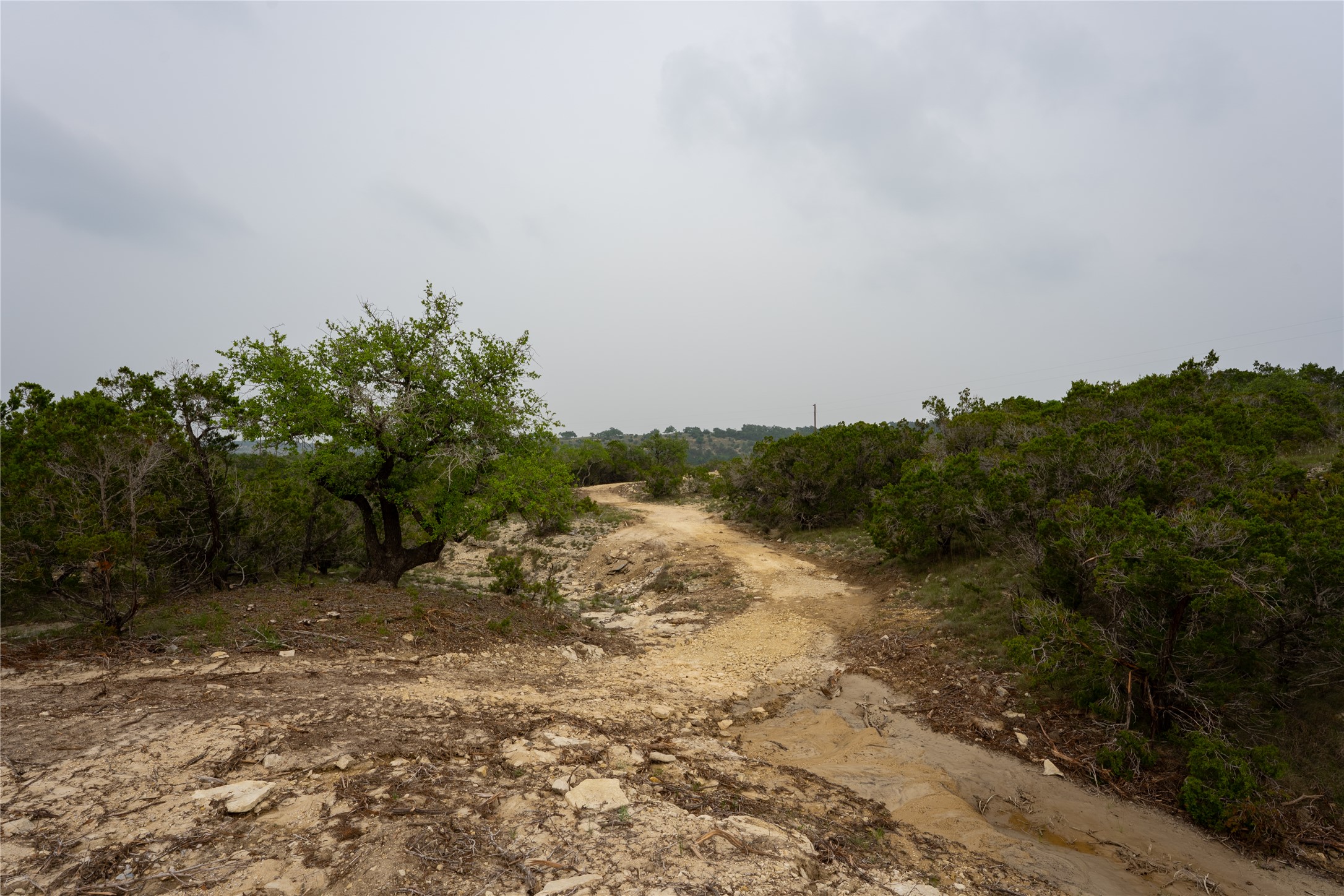 Lot 3 Ranch Road 165 Dripping Springs, TX 78620 - Photo 11 of 11 Natural terrain featuring an unpaved path, abundant green foliage, and scattered rock formations