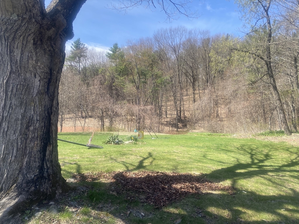 22 Newcomb Road Westminster, MA 01473 - Photo 4 of 12 a view of a large trees with a yard