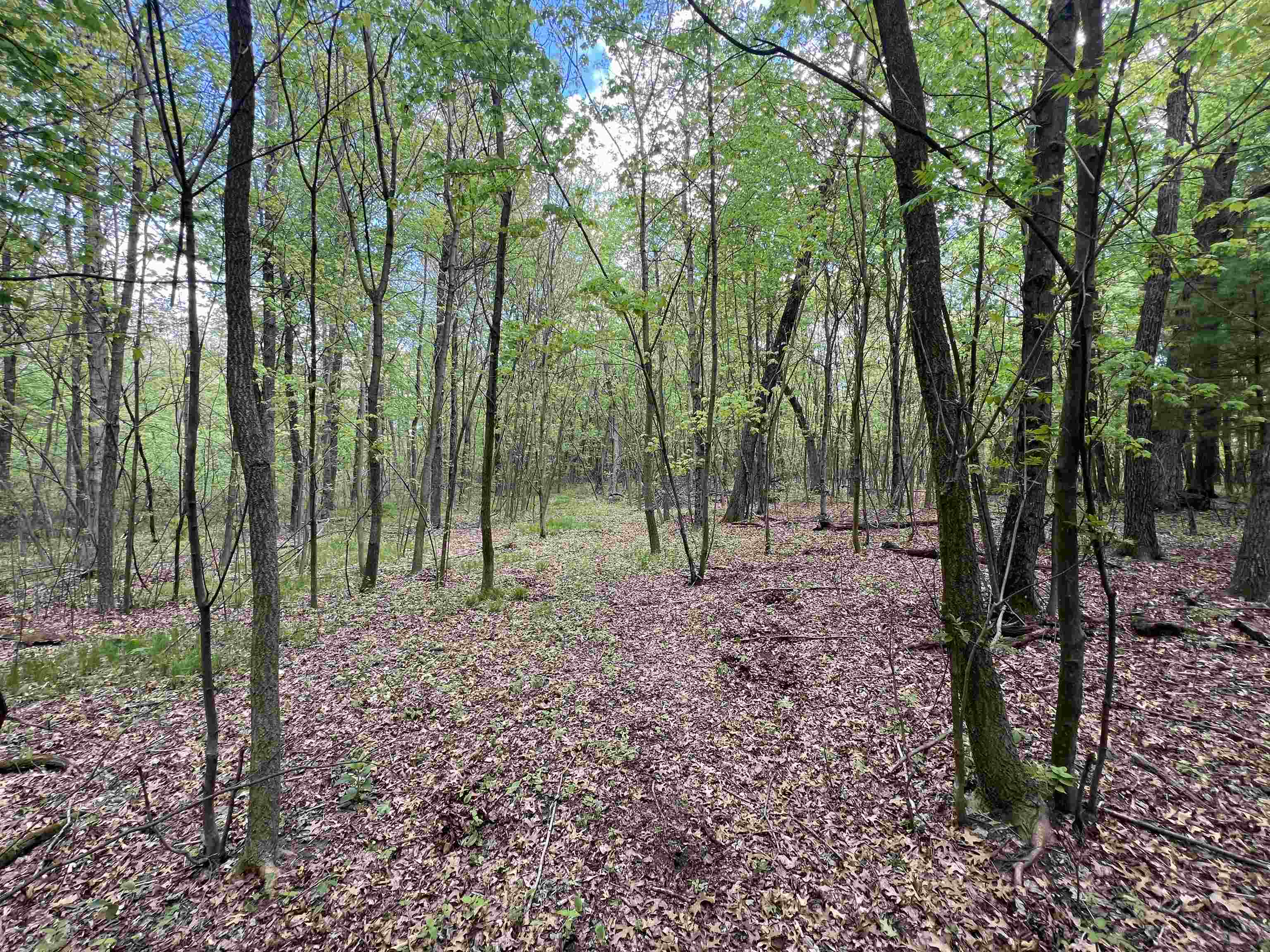 17.75-acres County Rd G Oxford, WI 53952 - Photo 27 of 56