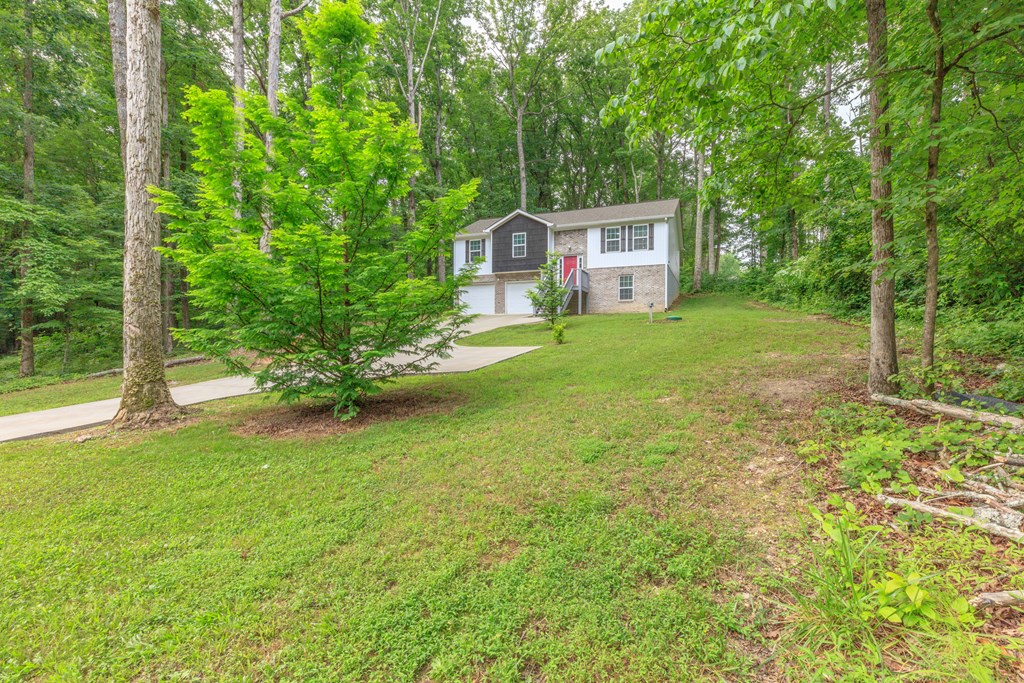 420 Old Babb Road Rocky Face, GA 30740 - Photo 4 of 37 Gallery Image 4