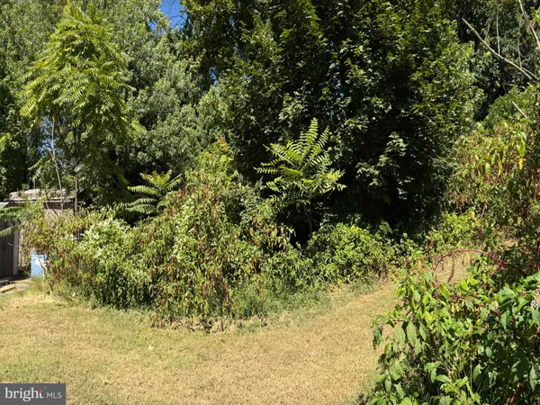 a view of flowers in a garden