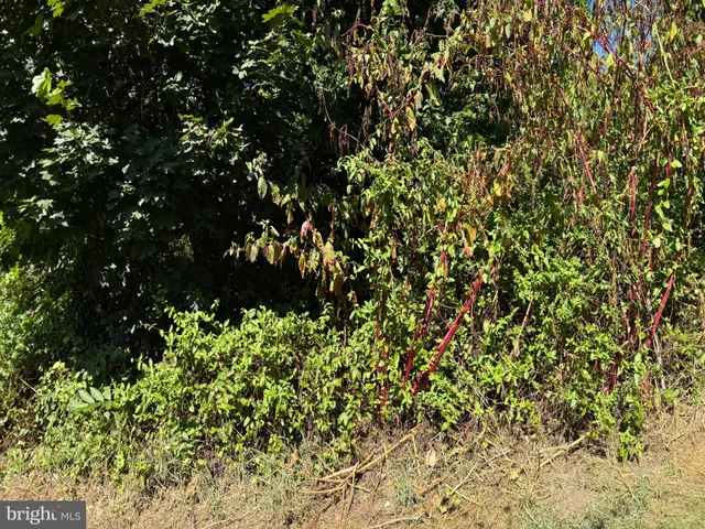 a sign board with a yard