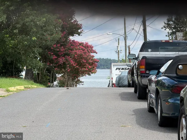a view of a park with large trees