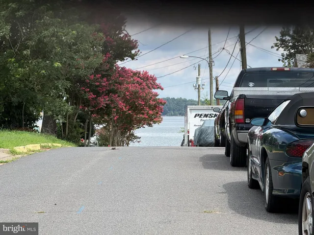 a view of a park with large trees