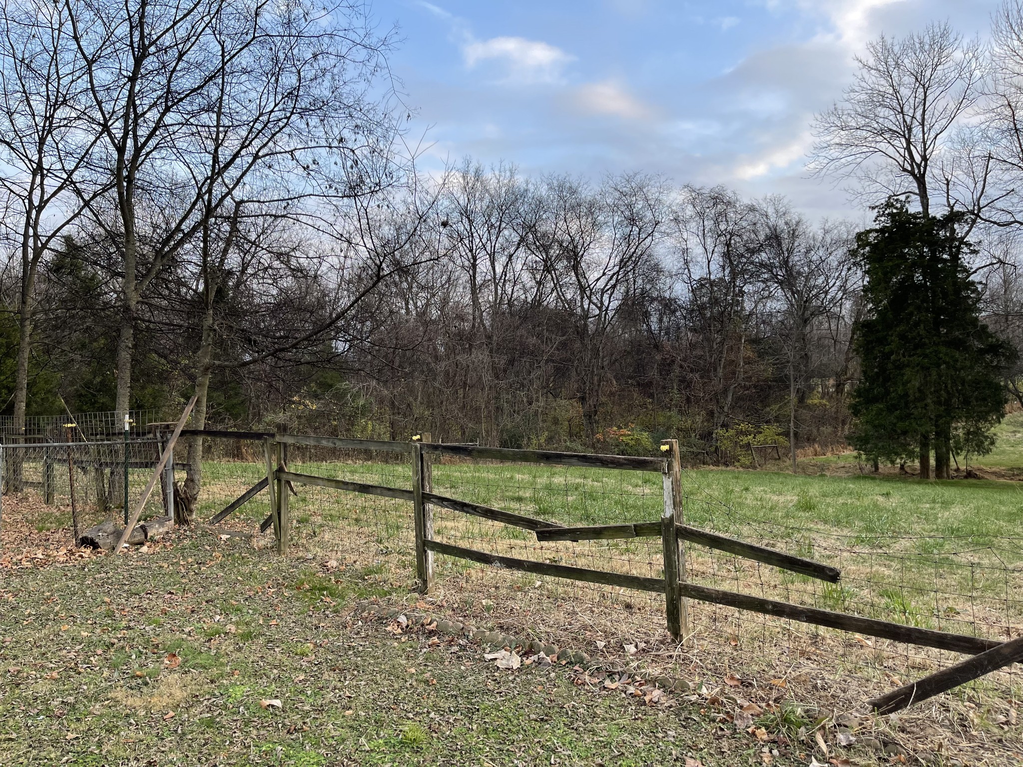 4426 William Woodard Road Springfield, TN 37172 - Photo 16 of 17 a view of park bench