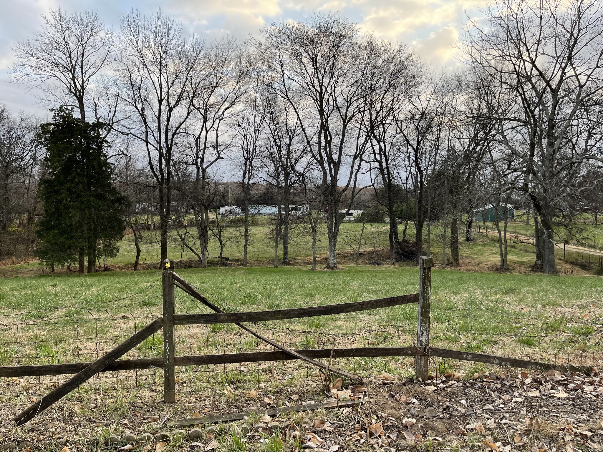 4426 William Woodard Road Springfield, TN 37172 - Photo 17 of 17 a view of a park