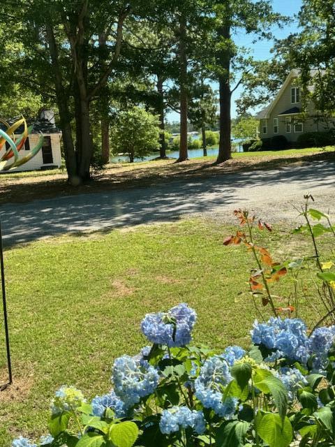 1339 Nightfall Lane Summerton, SC 29148 - Photo 28 of 58 IMG_8090