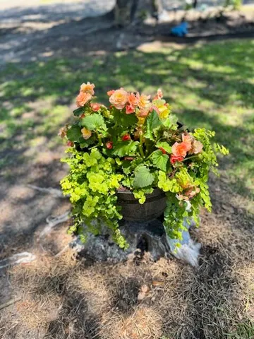 $305,000 | 1339 Nightfall Lane, Summerton, SC 29148