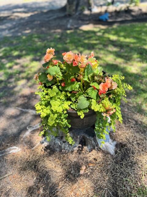 1339 Nightfall Lane Summerton, SC 29148 - Photo 55 of 58 IMG_8190