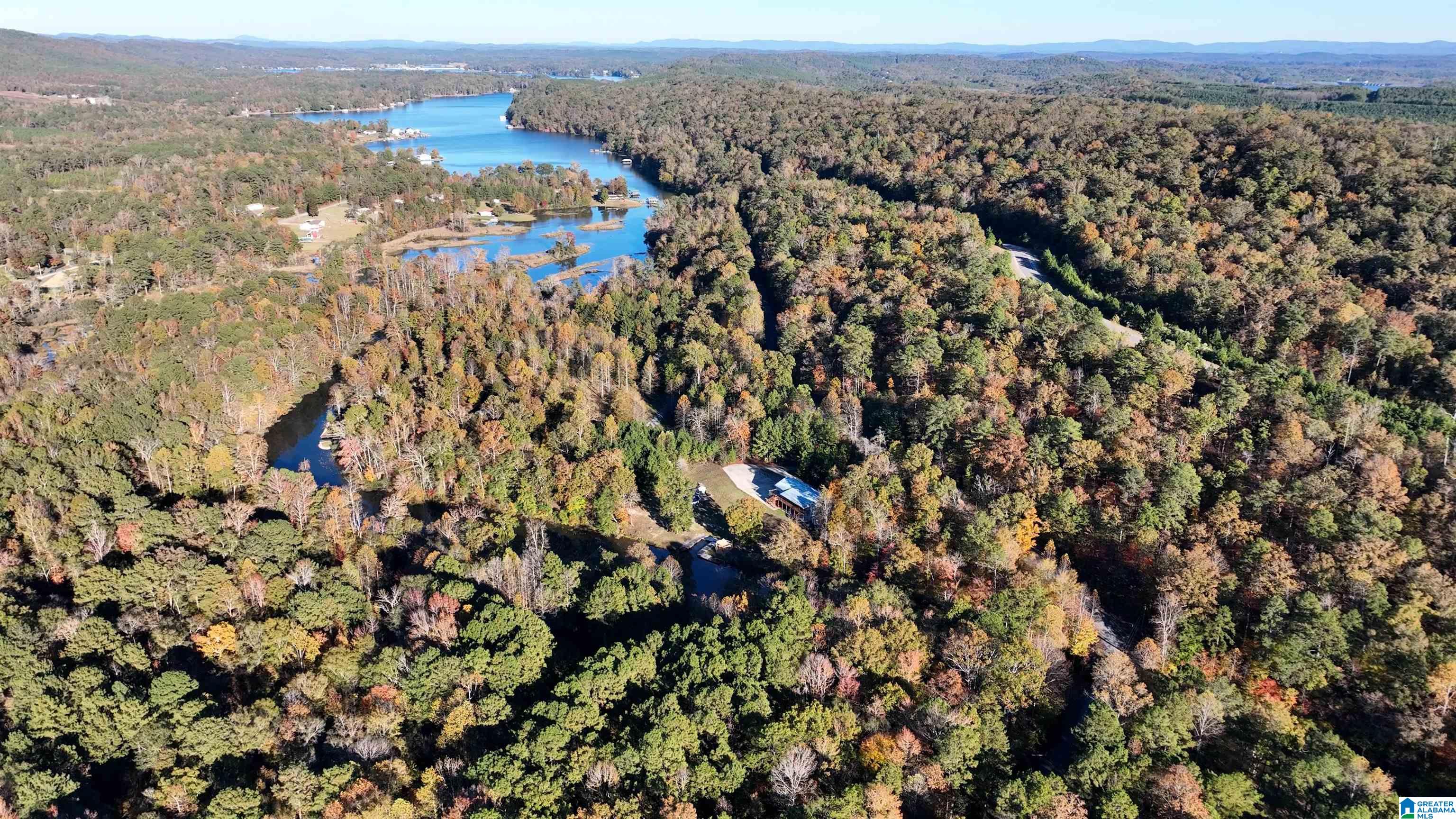 0 Waldrop Road, Unit 10 82 ACRES Ashville, AL 35953 - Photo 5 of 22