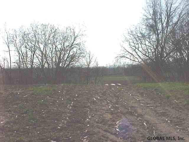 Hendee Road Hudson Falls, NY 12839 - Photo 1 of 1 Photo 1