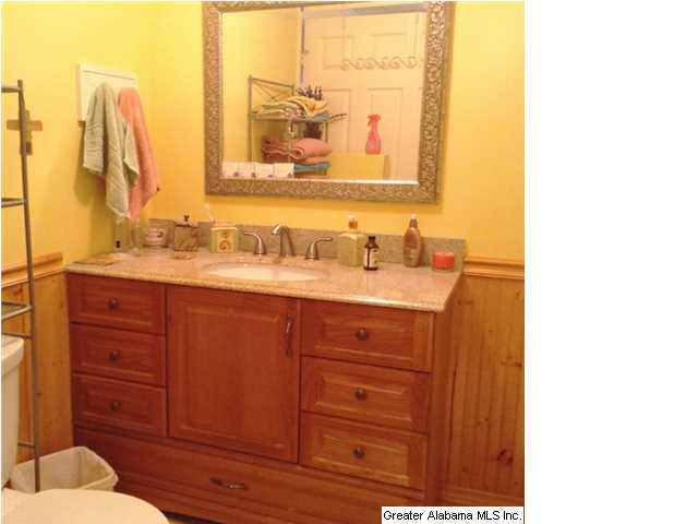 8375 Zuber Road Springville, AL 35146 - Photo 15 of 22