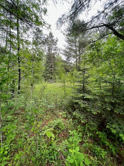 Ray Road Mio, MI 48647 - Photo 30 of 30 Gallery Image 30