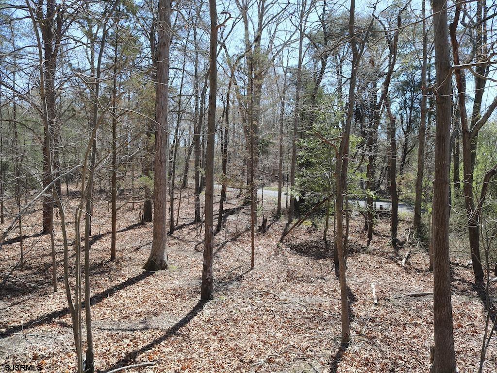 351 Shaws Mill Road Newport, NJ 08345 - Photo 63 of 84