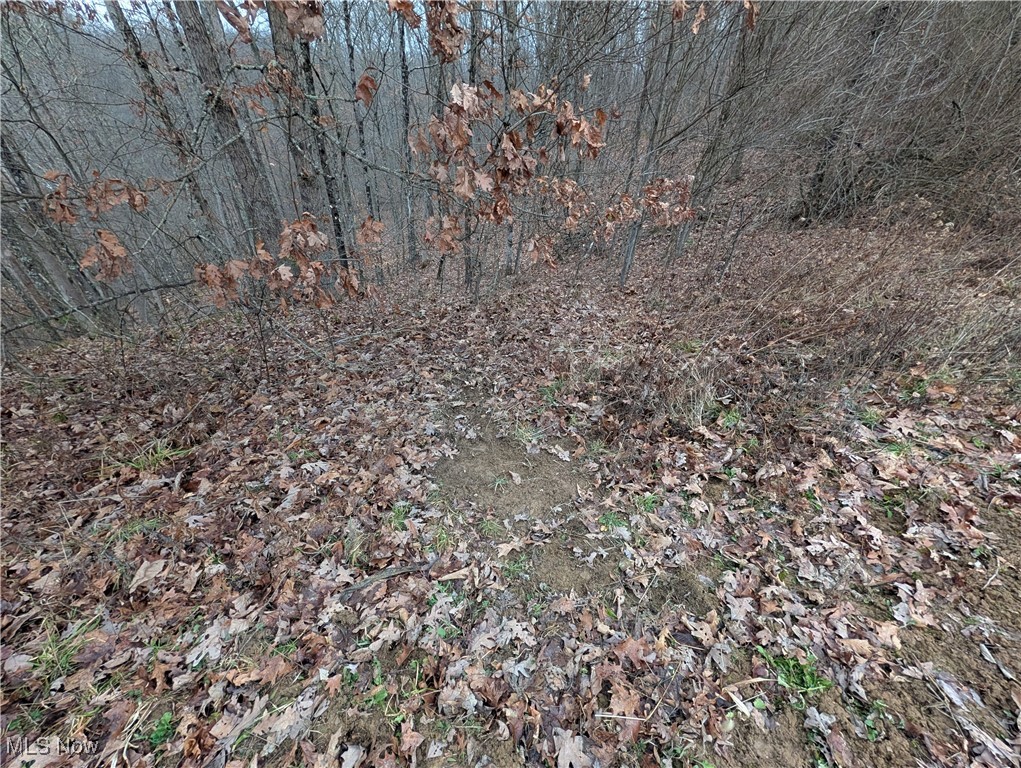Brown Peavine Road Alledonia, OH 43902 - Photo 18 of 50