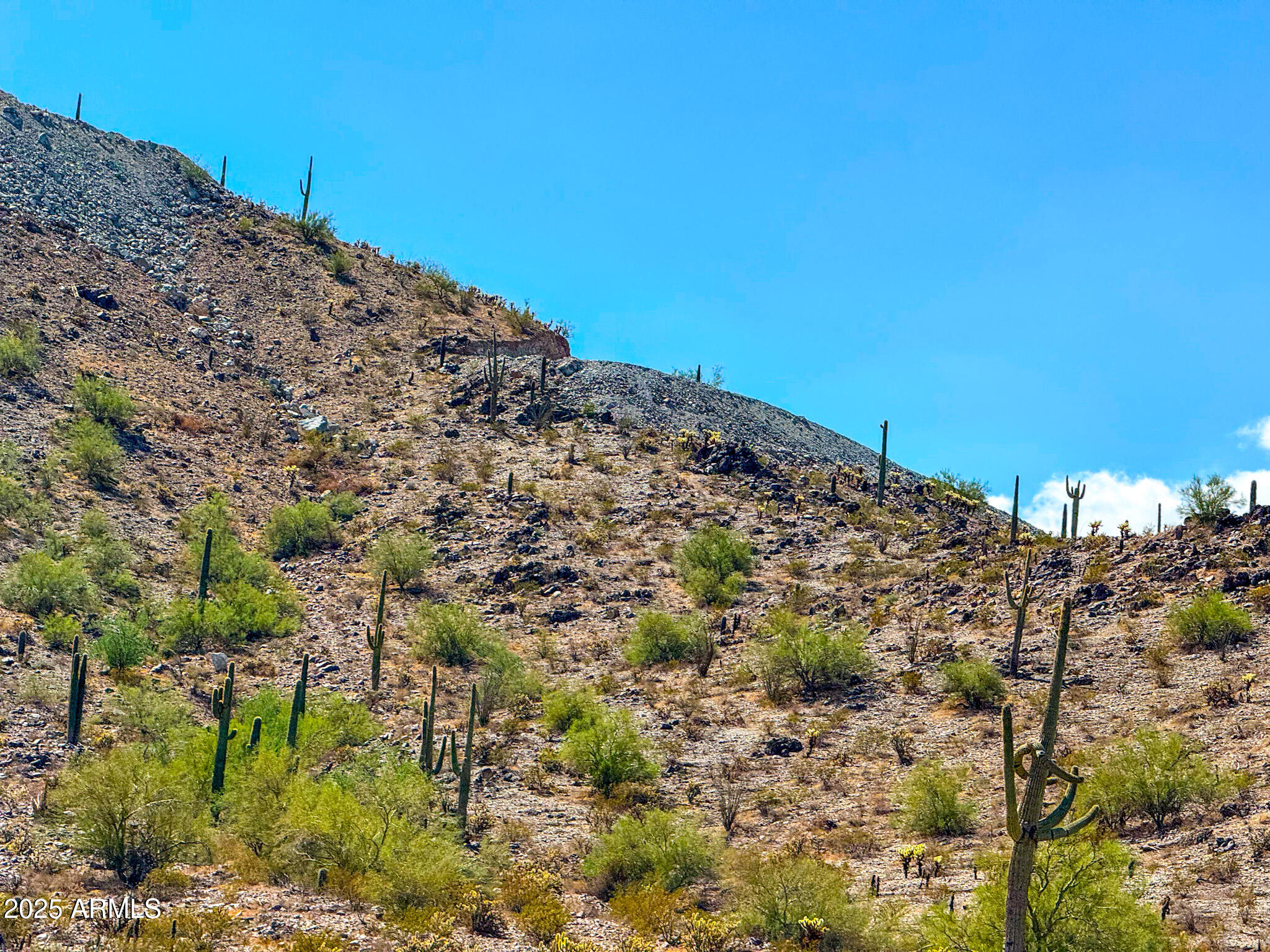 0 West Hilldale Road Maricopa, AZ 85139 - Photo 5 of 15 a view of a field with a tree in the background