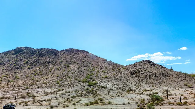 a view of a dry field with mountains in the background