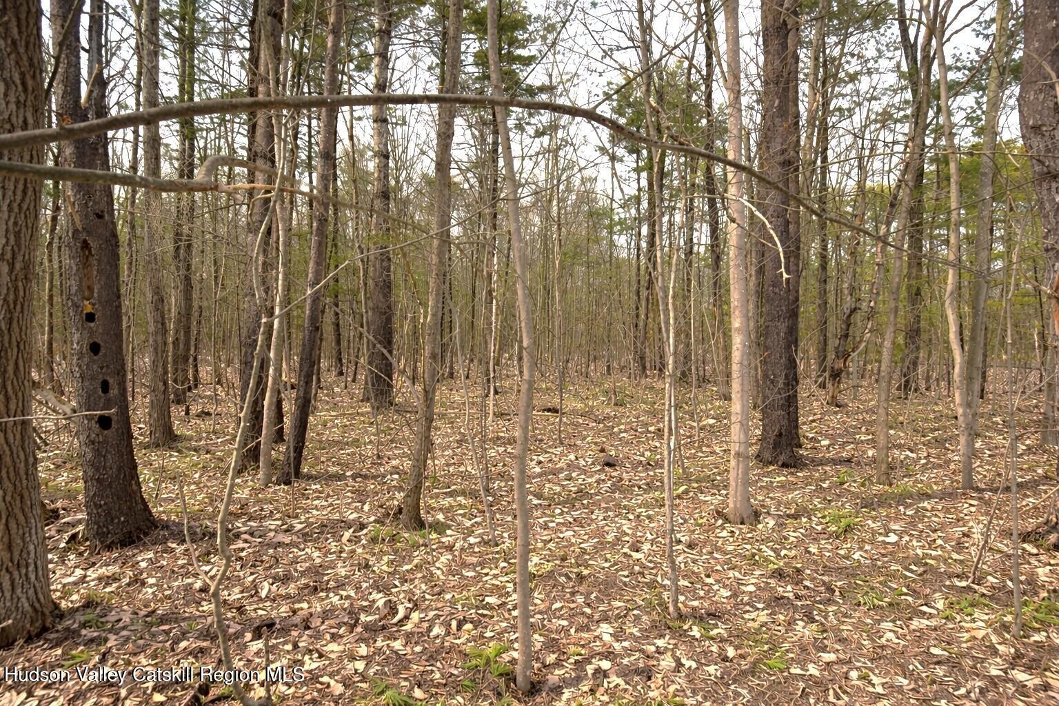 Tbd Silver Spur Road West Cairo, NY 12413 - Photo 6 of 11 6