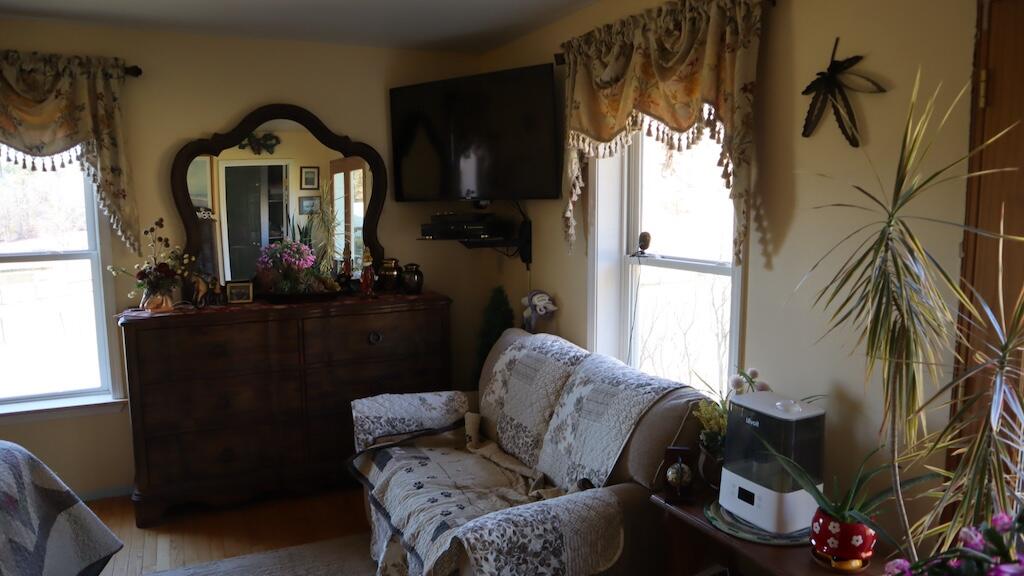 1247 Cannady School Road Southeast Floyd, VA 24091 - Photo 18 of 54 a living room with furniture and a window