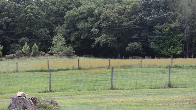 a view of a swimming pool with a lake view