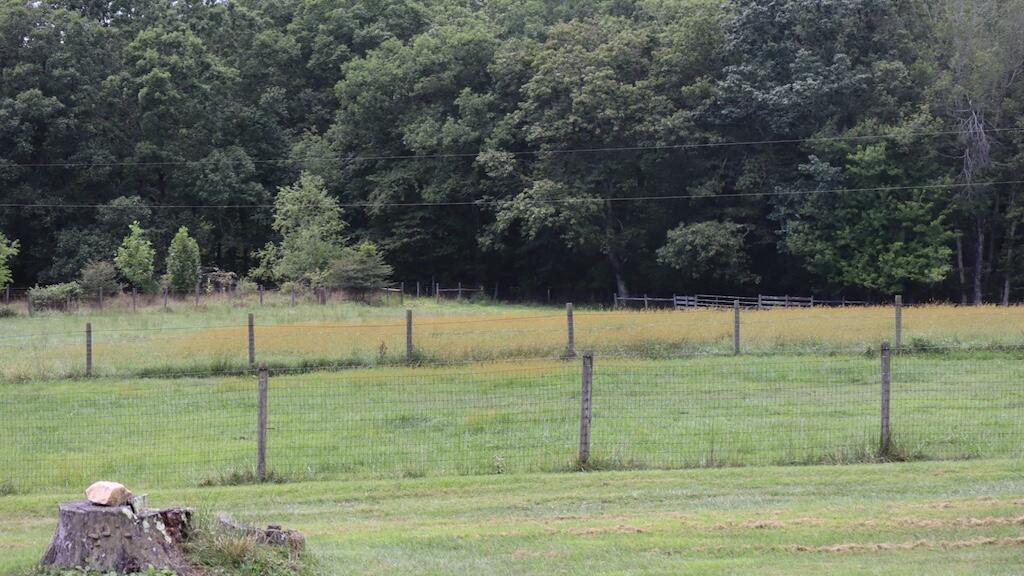 1247 Cannady School Road Southeast Floyd, VA 24091 - Photo 34 of 54 35