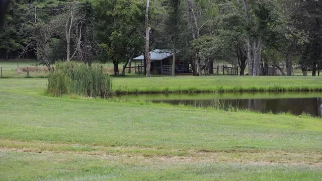 a view of outdoor space with trees