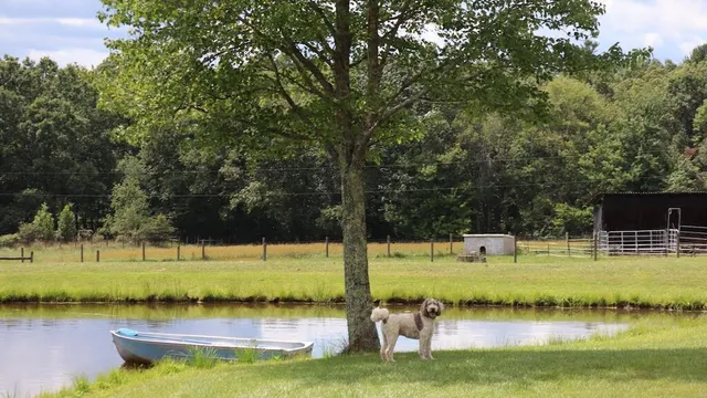 a view of a swimming pool with an outdoor space and seating area