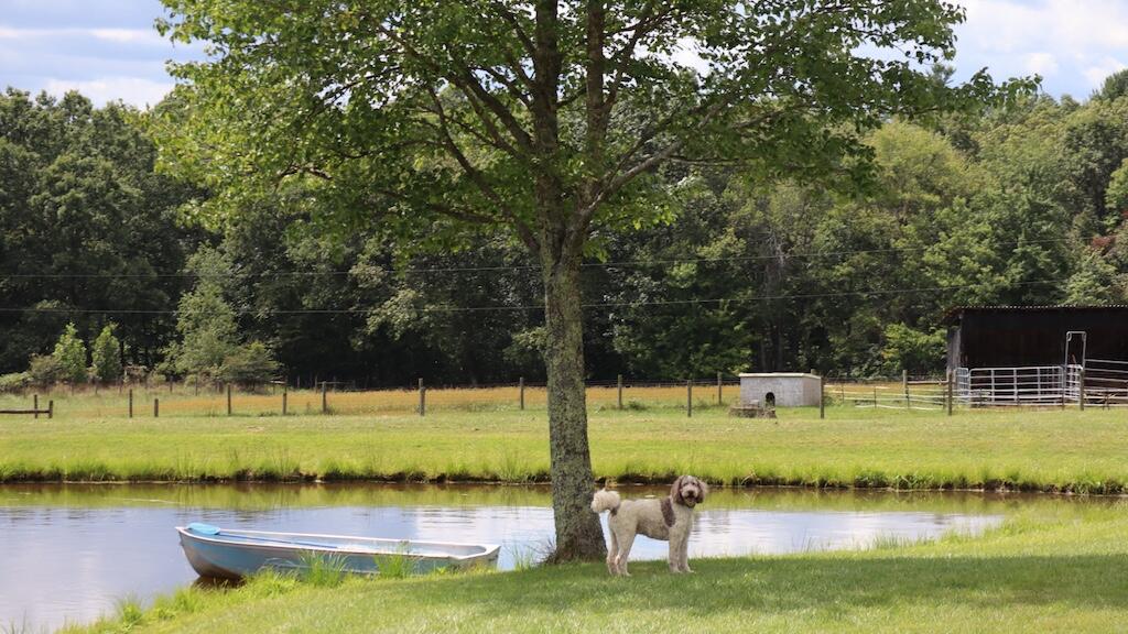 1247 Cannady School Road Southeast Floyd, VA 24091 - Photo 37 of 54 a view of a swimming pool with a lake view