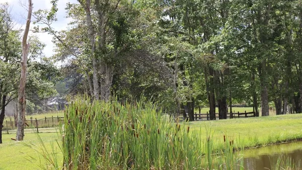 a view of a garden with a lake
