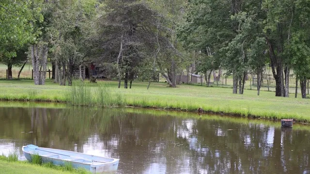 a view of a lake with a yard and large trees