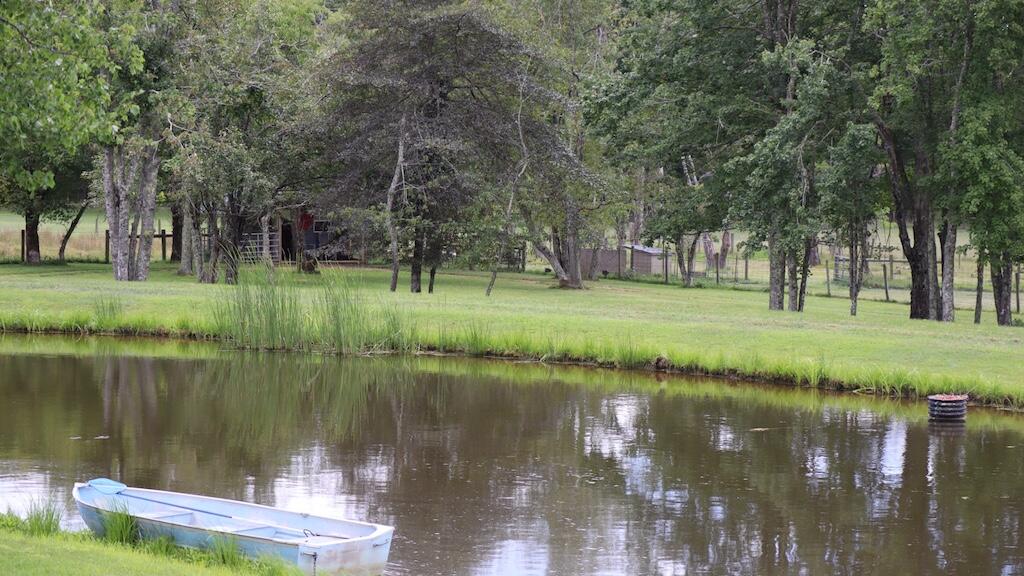 1247 Cannady School Road Southeast Floyd, VA 24091 - Photo 4 of 54 a view of a lake with a yard and large trees