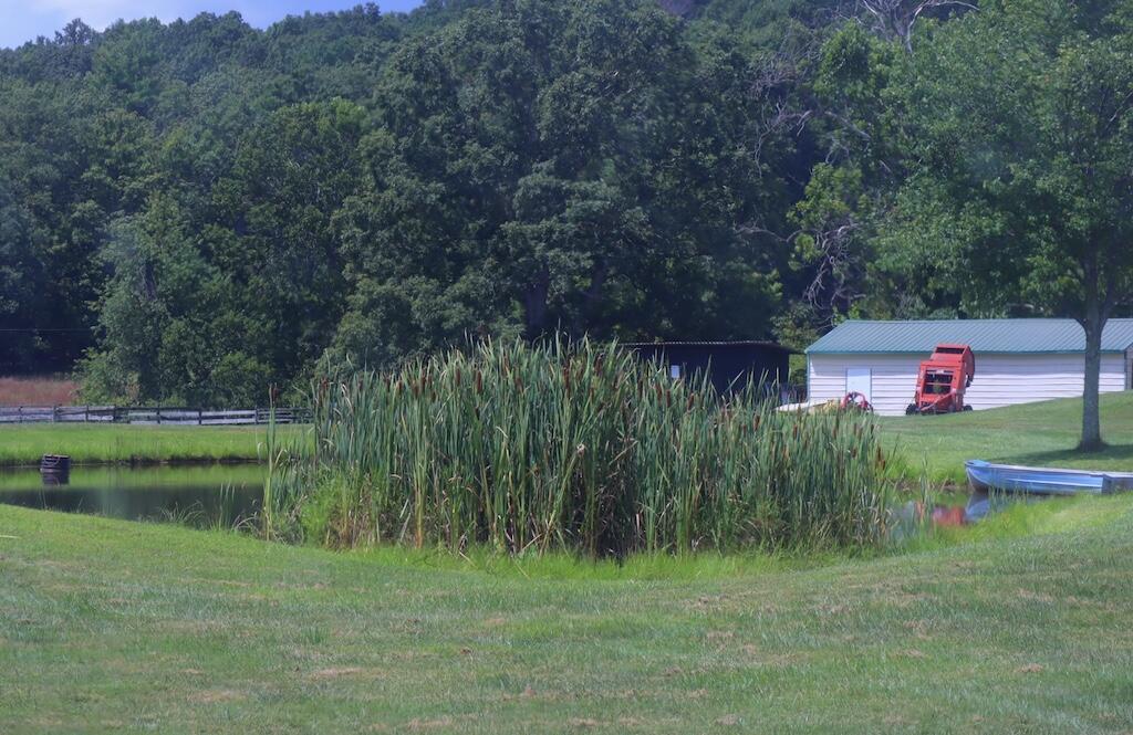 1247 Cannady School Road Southeast Floyd, VA 24091 - Photo 43 of 54 a view of a backyard