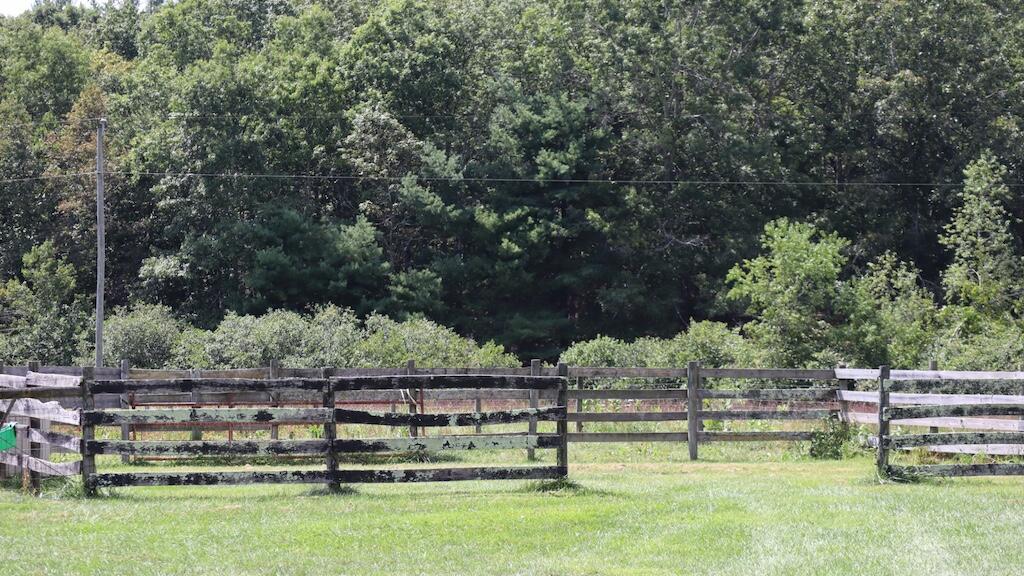 1247 Cannady School Road Southeast Floyd, VA 24091 - Photo 45 of 54 a view of backyard with two chairs and plants