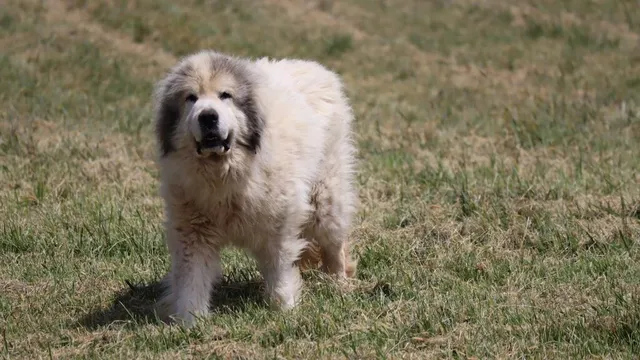 a bedroom with a bed and hallway