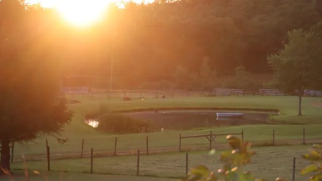 a view of an ocean and beach