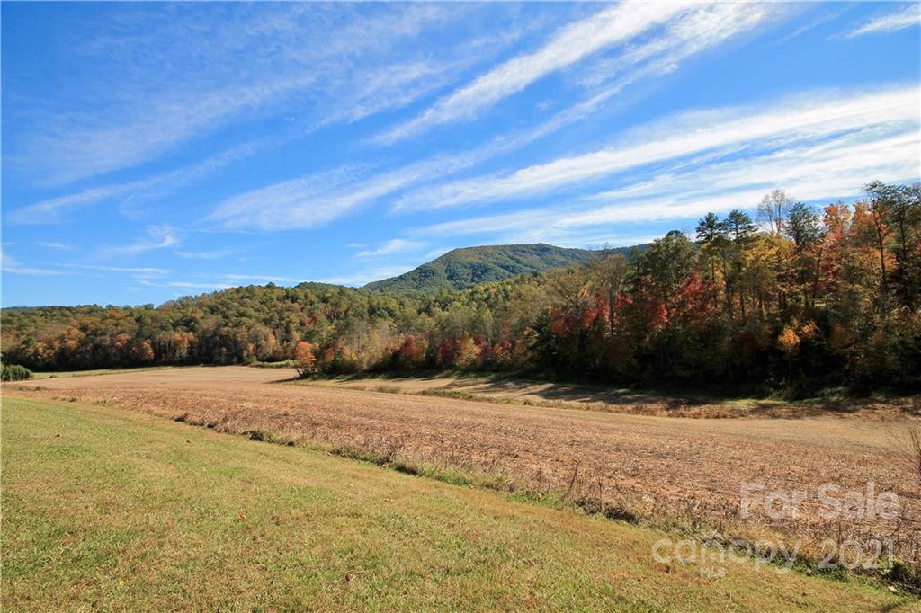 333 Mack Noblitt Road Old Fort, NC 28762 - Photo 5 of 37 Gallery Image 5