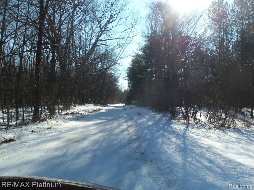 Parcel A Parcel A Roberts Drive Fenton, MI 48430 - Photo 4 of 4