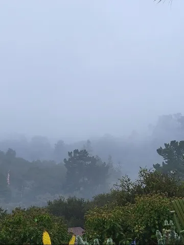 a dining room with furniture a large window and wooden floor