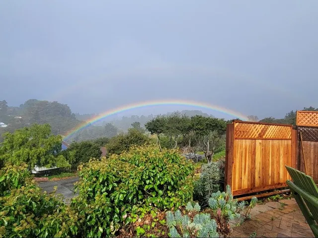 a view of a back yard