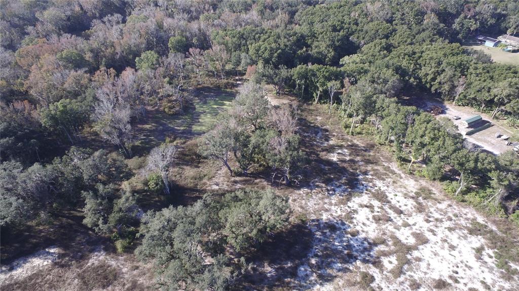 301 Tbd Citra, FL 32113 - Photo 17 of 36 a view of a forest with lots of trees