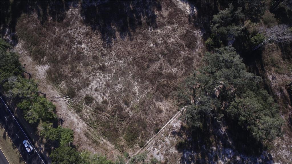 301 Tbd Citra, FL 32113 - Photo 18 of 36 a view of a forest with a tree