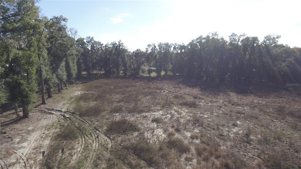 301 Tbd Citra, FL 32113 - Photo 2 of 36 a view of a forest with trees in the background