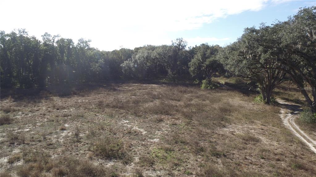 301 Tbd Citra, FL 32113 - Photo 3 of 36 a view of a covered with trees in the background