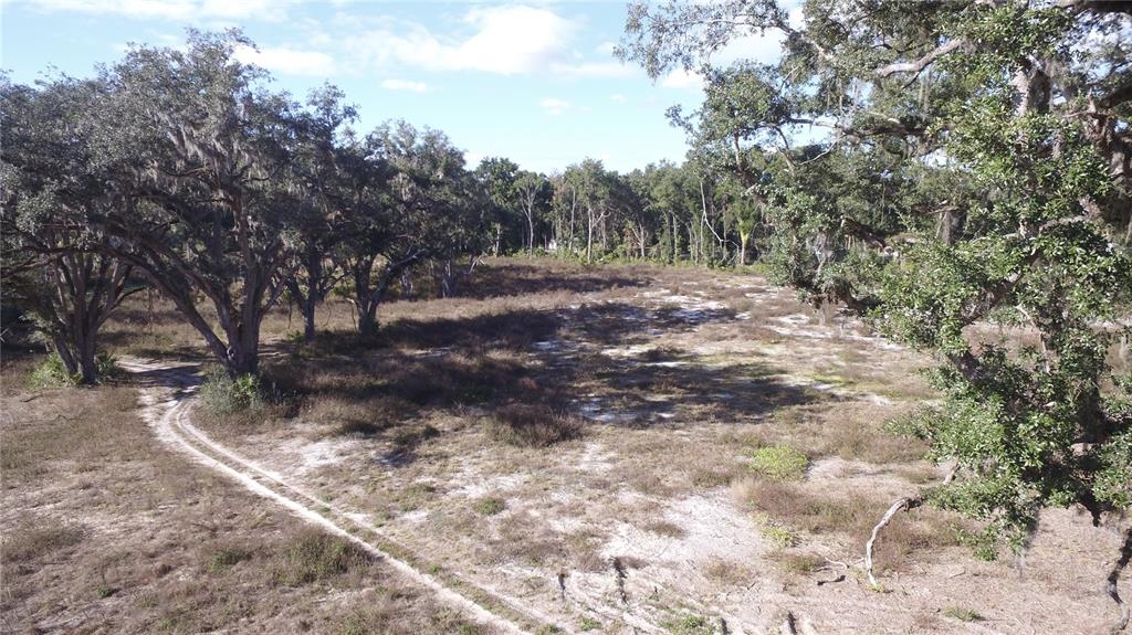 301 Tbd Citra, FL 32113 - Photo 4 of 36 a big yard with lots of green space