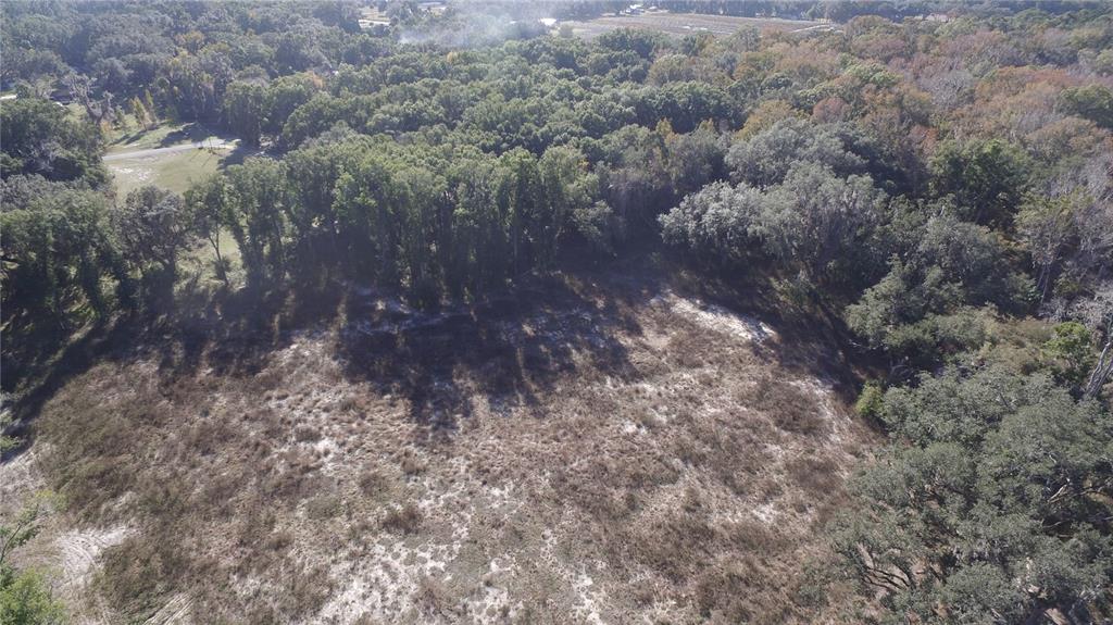 301 Tbd Citra, FL 32113 - Photo 5 of 36 a view of a forest with lots of trees